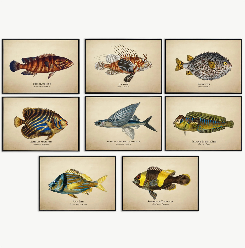 Marine Life Aquariums - Quadri Vintage con Pesci Tropicali, Meduse,
