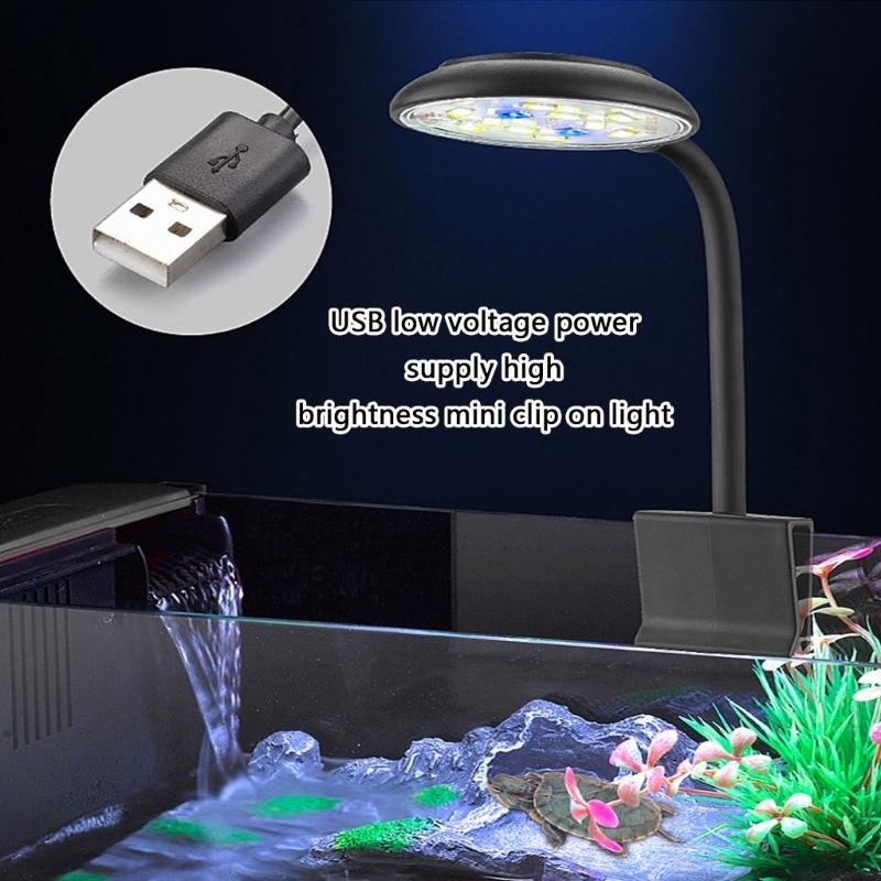 Marine Life Aquariums - Regolazione acquari a LED LED luminosità