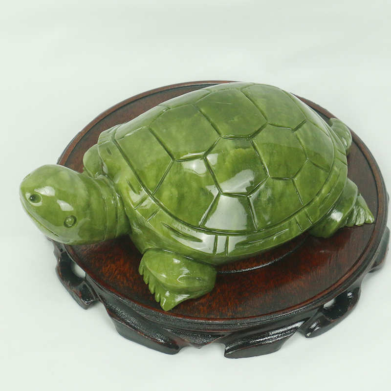 Giada naturale/scultura di tar - Marine Aquarium All In One recensione e prezzo