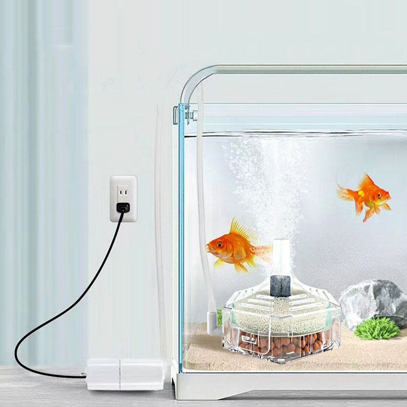 Filtro per acquario super sott - Marine Aquarium Uv Filter recensione e prezzo