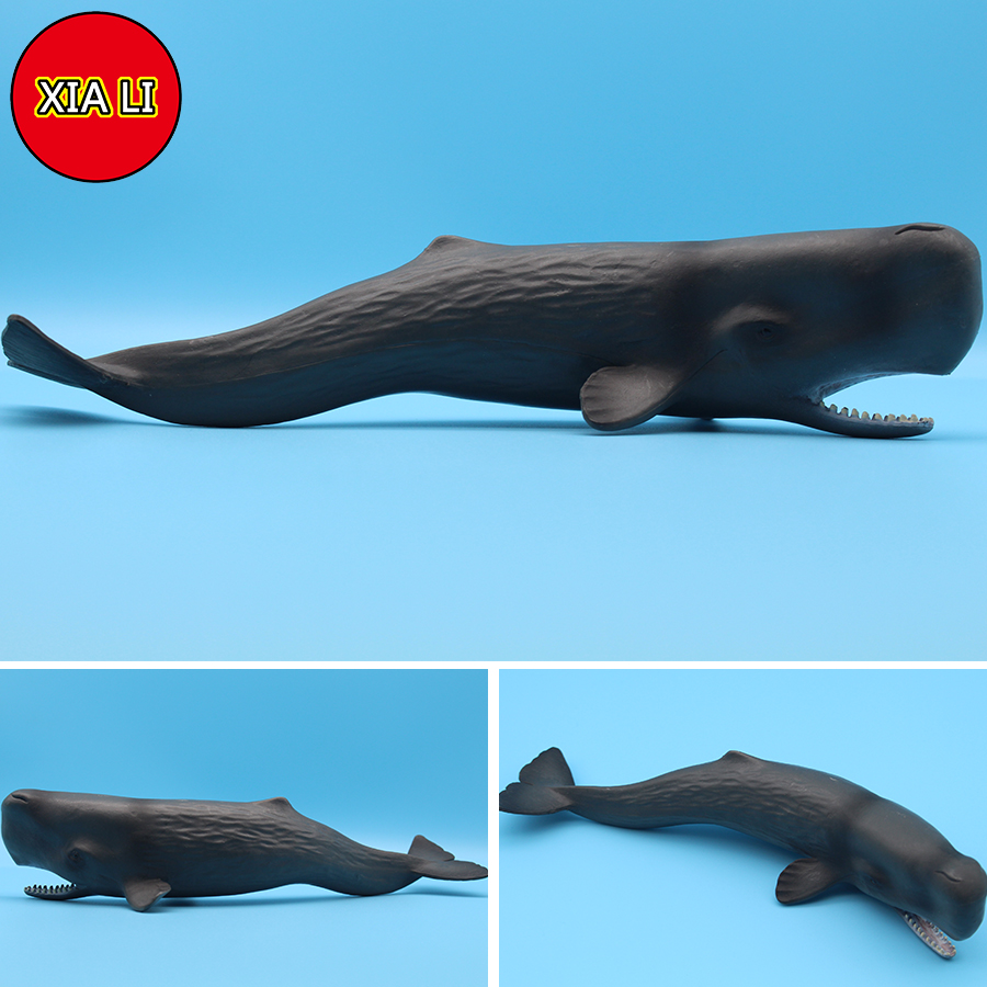Modellini di Animali Marini: O - Marine Life Aquariums recensione e prezzo