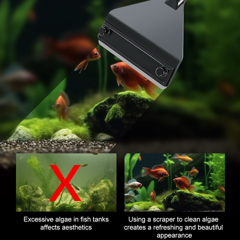 Rimozione delle alghe dell'acq - Marine Aquarium Glass Cleaner recensione e prezzo