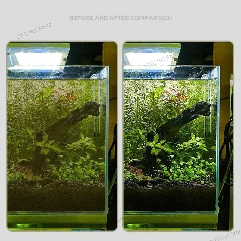 Strumento per la pulizia dell' - Marine Aquarium Glass Cleaner recensione e prezzo