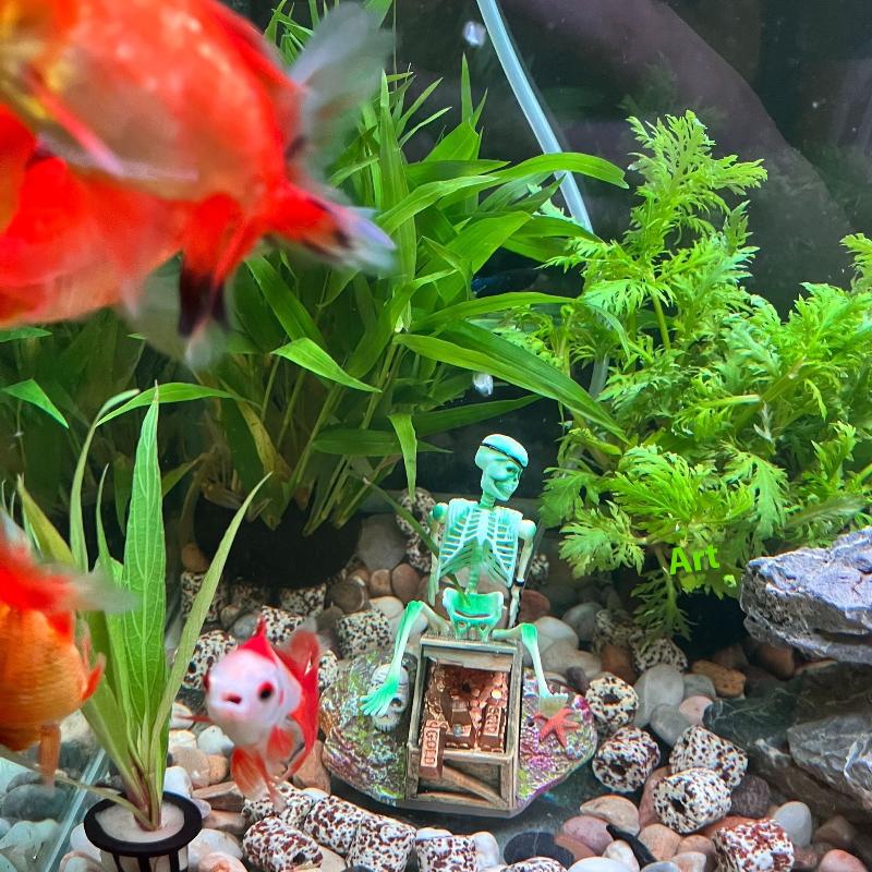 Acquario Aerobico Paesaggio Bu - Marine Aquarium All In One recensione e prezzo