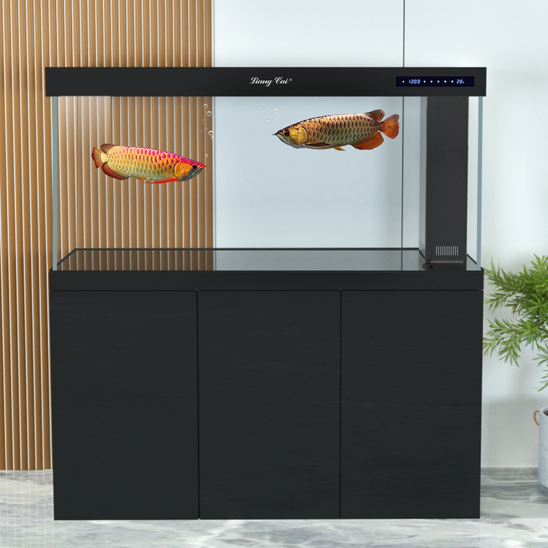 Acquario in Vetro Ultra Traspa - Marine Life Aquariums recensione e prezzo