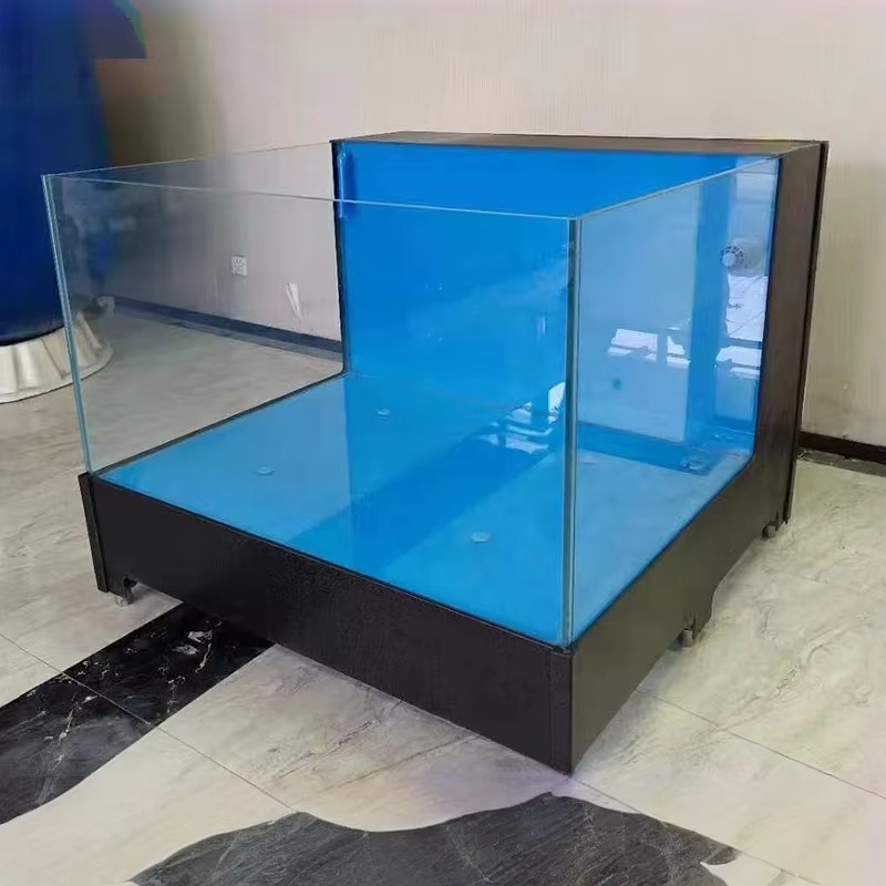Acquario Quadrato in Vetro per - Marine Aquarium All In One recensione e prezzo