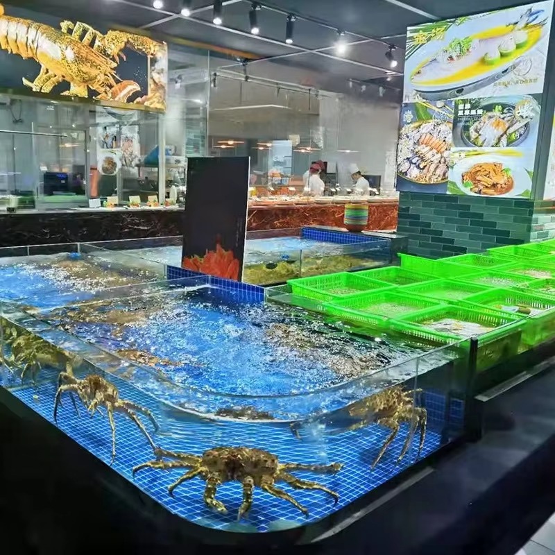 Acquario Quadrato in Vetro per - Marine Aquarium All In One recensione e prezzo