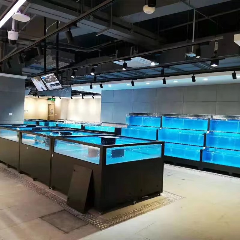 Acquario Quadrato in Vetro per - Marine Aquarium All In One recensione e prezzo
