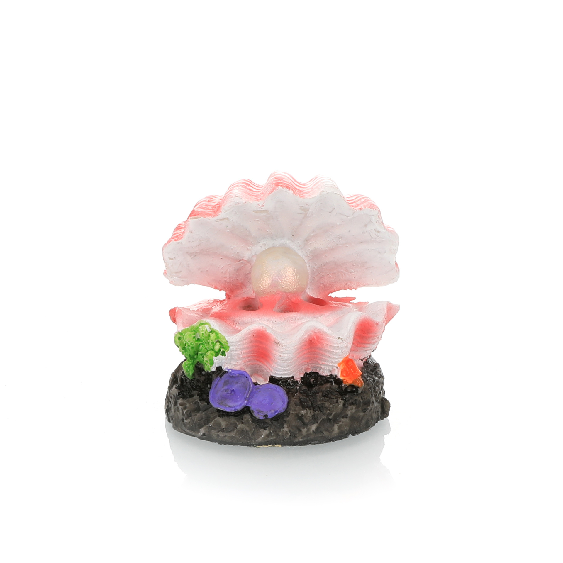 Simulazione paesaggistica per  - Marine Aquarium All In One recensione e prezzo