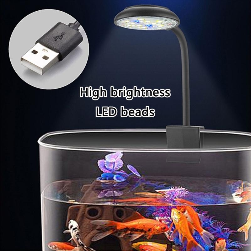 Regolazione acquari a LED LED  - Marine Life Aquariums recensione e prezzo