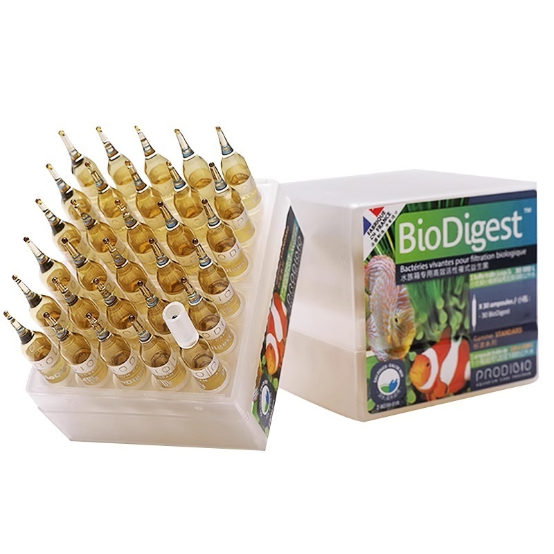 Serbatoi di pesce PRODIBIO bio - Marine Aquarium Aquascape recensione e prezzo