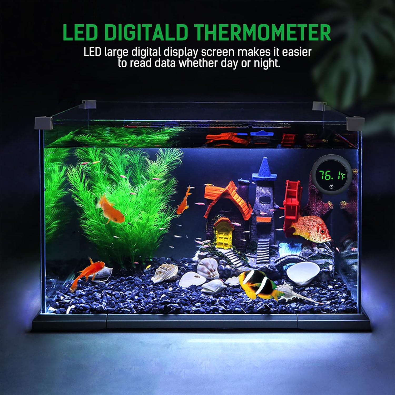 Termometro digitale per acquar - Marine Aquarium Temperature recensione e prezzo