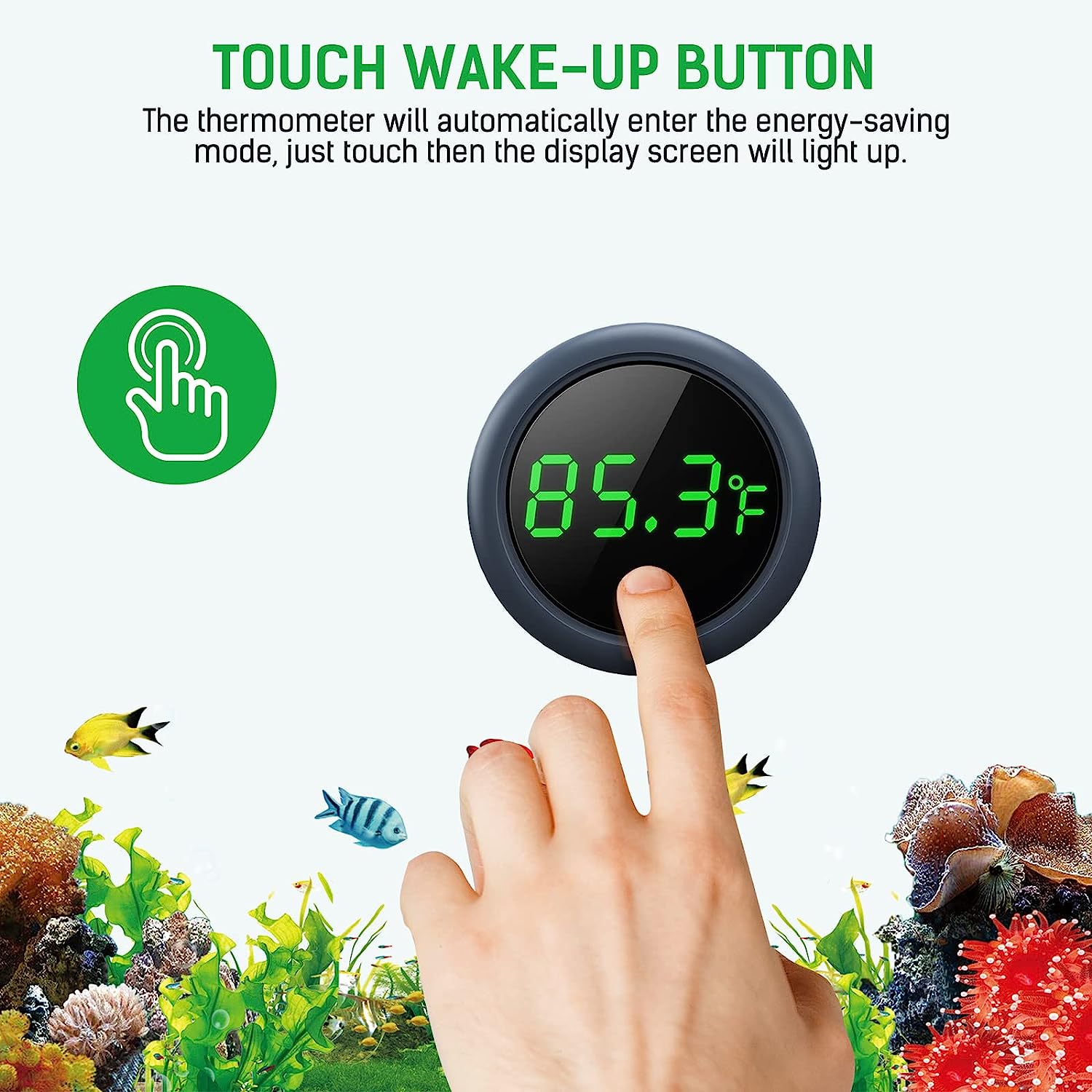 Termometro digitale per acquar - Marine Aquarium Temperature recensione e prezzo