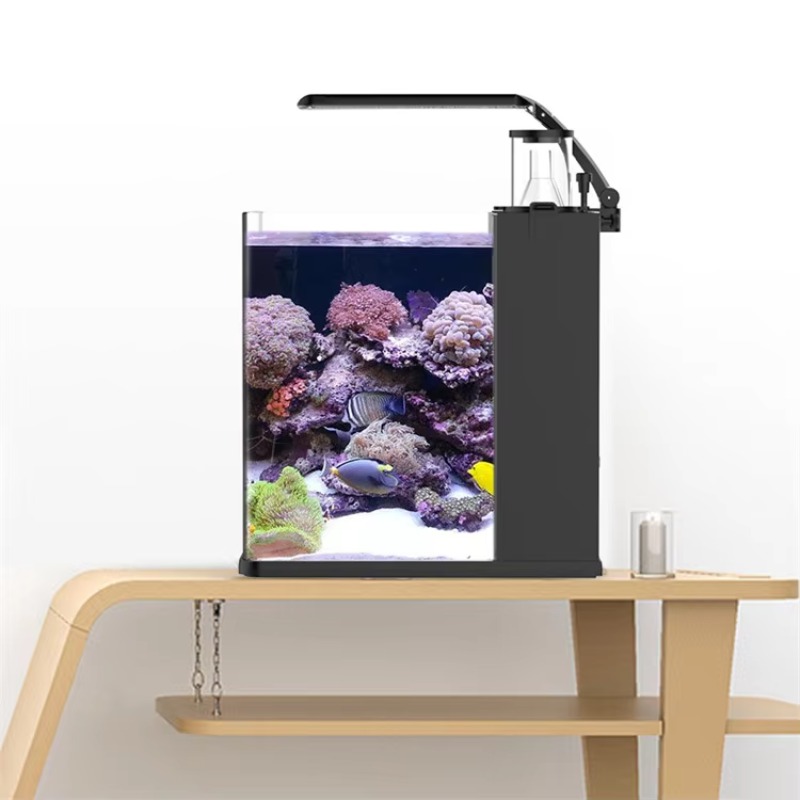 Acquario da Tavolo Curvo per P - Marine Aquarium All In One recensione e prezzo