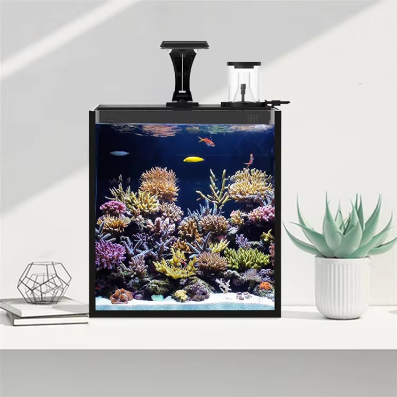 Acquario da Tavolo Curvo per P - Marine Aquarium All In One recensione e prezzo
