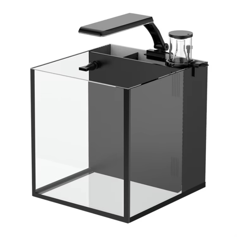 Acquario da Tavolo Curvo per P - Marine Aquarium All In One recensione e prezzo
